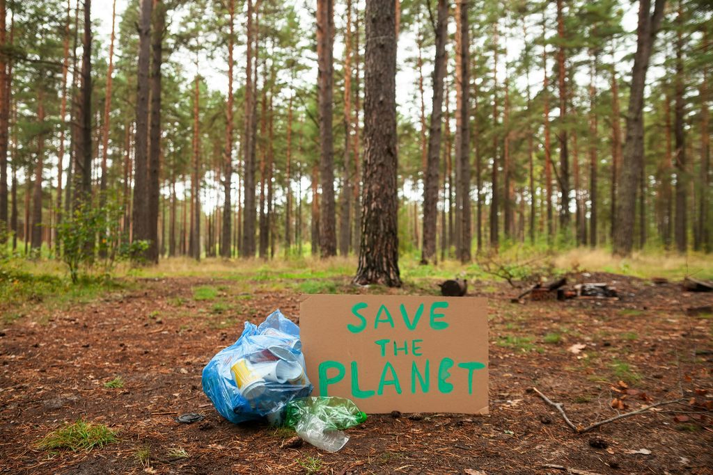 Filamento biodegradable para impresión 3D: opciones y ventajas